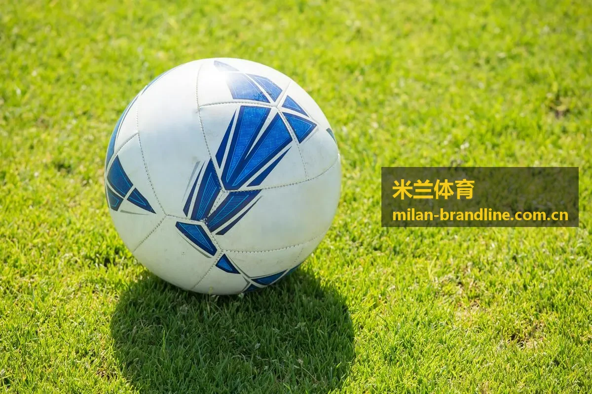 米兰体育榜单排行背景图